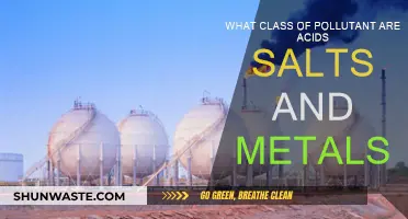 Acidic, Salty, and Metallic: Understanding Pollutant Classes