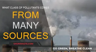 Sources of Pollution: Diverse and Complex