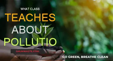 Understanding Pollution: A Class for Awareness and Action