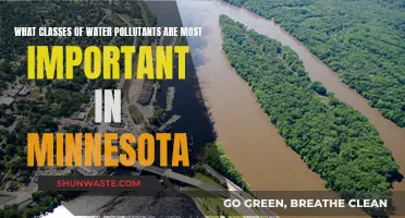 Minnesota's Water Quality: Key Pollutants and Their Impact