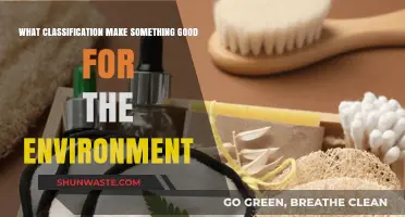 Eco-Friendly Essentials: Defining Environmentally Beneficial Products and Practices
