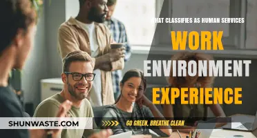 Understanding Human Services: Defining Work Environment Experience Essentials