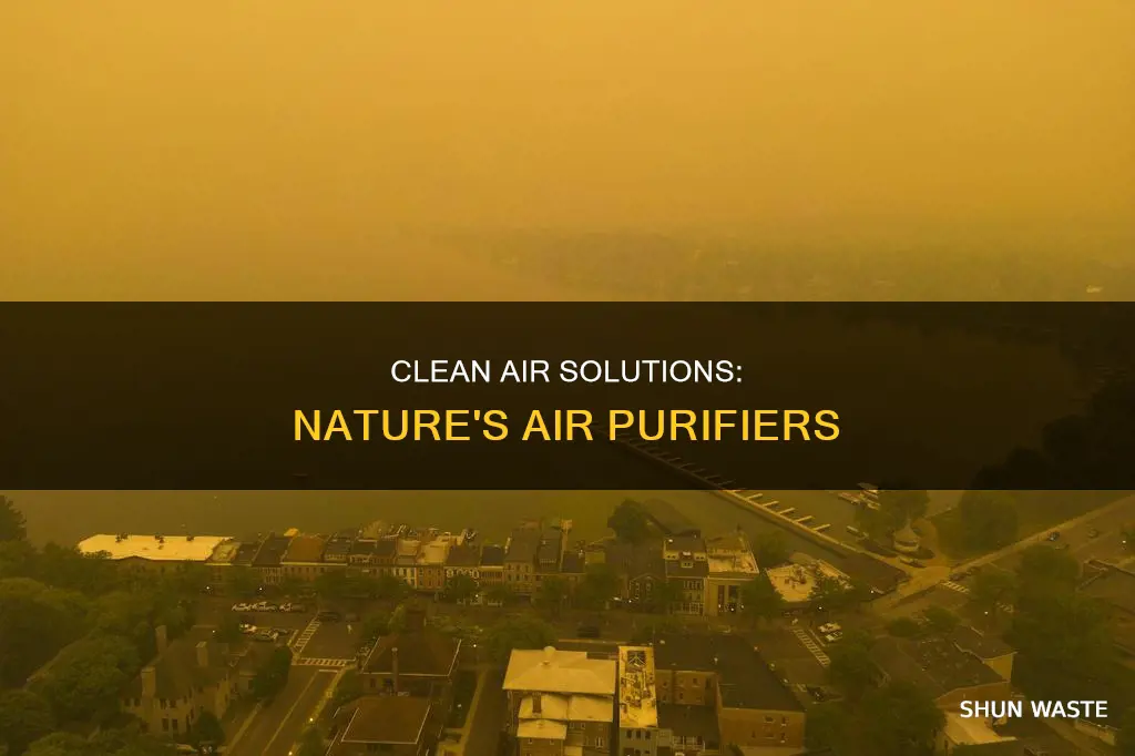 what cleans air pollution