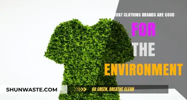 Eco-Friendly Fashion: Top Clothing Brands Saving Our Planet