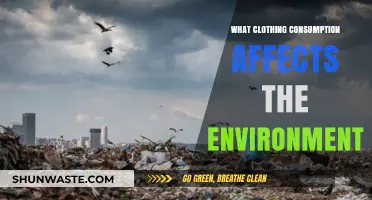 How Our Clothing Choices Impact the Environment: A Deep Dive