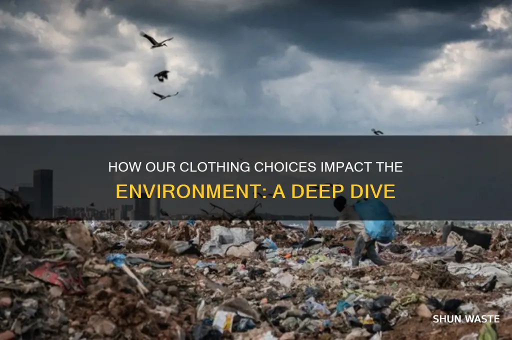 what clothing consumption affects the environment