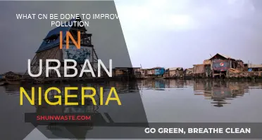 Strategies to Reduce Pollution in Nigerian Cities