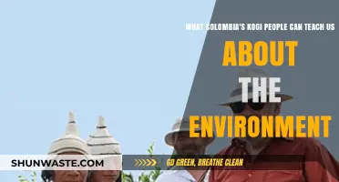 Kogi Wisdom: Ancient Environmental Lessons for a Sustainable Future