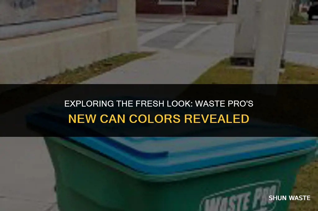 what color are waste pro new cans