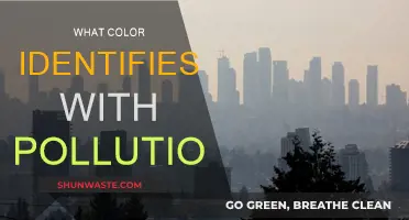 The Color of Pollution: A Visual Representation of Environmental Crisis