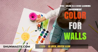 Enhancing Focus: Best Wall Colors for Optimal Learning Environments