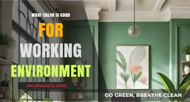 Boost Productivity: Best Colors for an Ideal Working Environment
