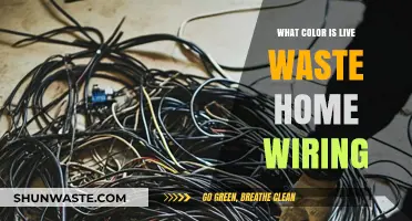 Identifying Live Waste Home Wiring Color: A Comprehensive Guide