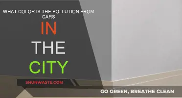 Urban Pollution: What Color is the Air?