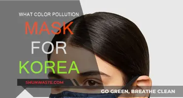 Choosing Pollution Masks: A Guide for Korea