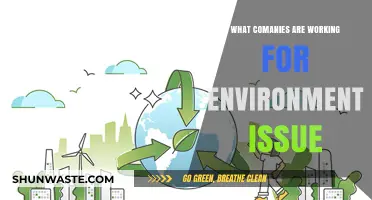 Eco-Friendly Innovators: Companies Leading the Fight for Environmental Sustainability