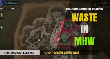 Exploring MHW: The Next Adventure Beyond Wildspire Waste Revealed
