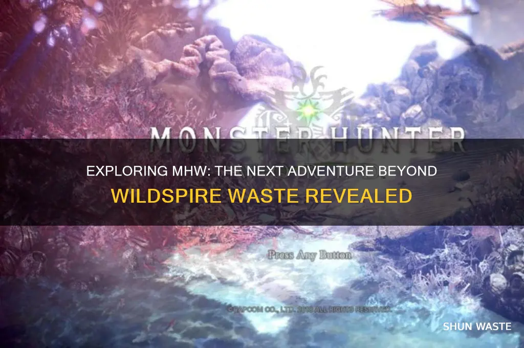 what comes after the wildspire waste in mhw