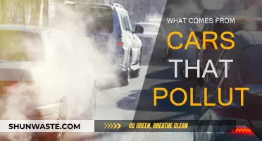 Cars: Emitting Pollutants, Harming Our Planet