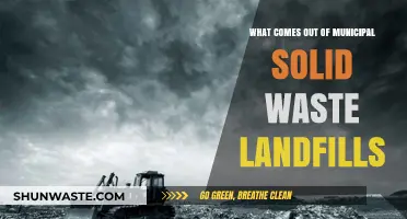 Unveiling the Hidden Outputs of Municipal Solid Waste Landfills