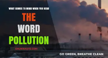 The Many Faces of Pollution: What's Your First Thought?