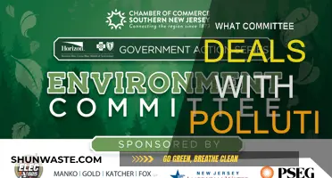 Committees Tackling Pollution: Who's Responsible?