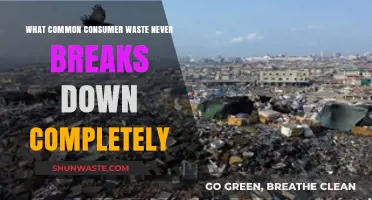 Unbreakable Trash: Common Consumer Waste That Never Fully Disappears