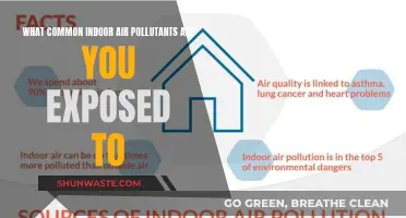 Air Pollutants Hiding in Your Home: What You Need to Know