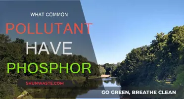 Phosphorus Pollution: Common Sources and Environmental Impact