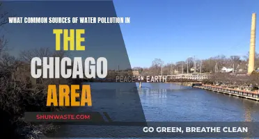 Unveiling Chicago's Water Woes: Sources of Pollution Uncovered