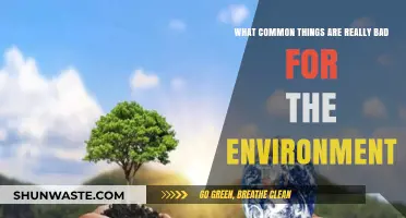 Everyday Habits and Products Harming Our Planet: What to Avoid