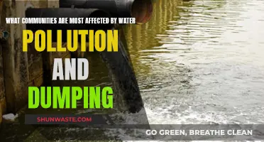 Water Pollution: Communities at Risk and Action Needed