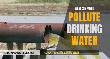 Unveiling the Hidden Polluters: Who's Contaminating Our Drinking Water?