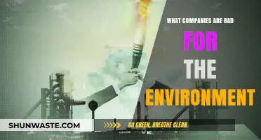 Eco-Offenders: Unveiling Companies Harming Our Planet's Health