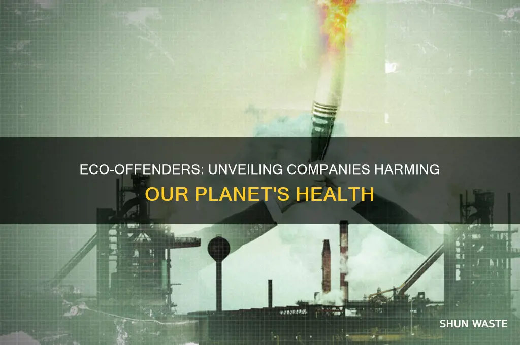 what companies are bad for the environment