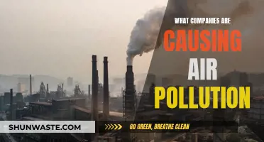 Unveiling the Culprits: Top Polluters Causing Air Quality Crisis