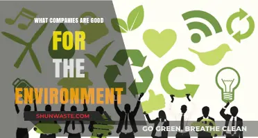 Eco-Friendly Giants: Top Companies Leading Sustainable Environmental Initiatives