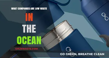 Eco-Friendly Brands Leading the Fight Against Ocean Waste
