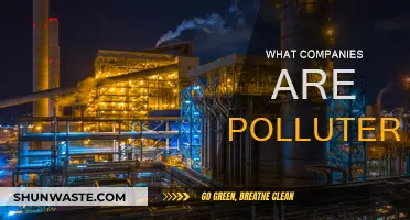 Who Pollutes Our Planet? The Worst Corporate Offenders