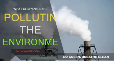 Who's Polluting Our Environment?