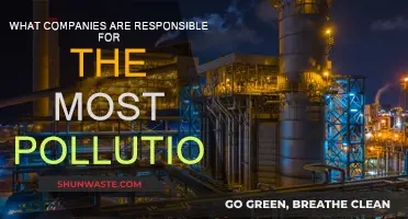 Who Pollutes the Most? Corporations Revealed
