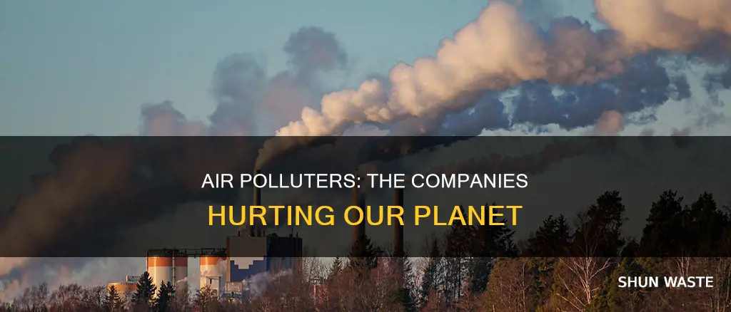 what companies are the biggest air polluters