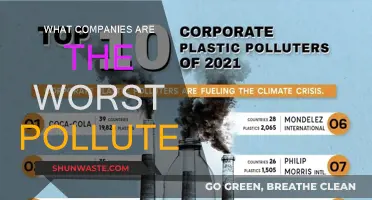 Biggest Corporate Polluters: Who's Hurting Our Planet the Most?