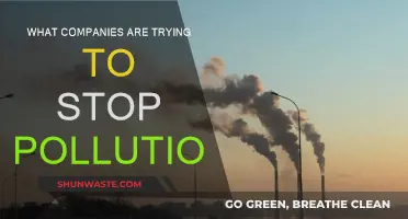 How Businesses Are Battling Pollution