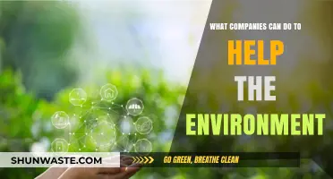 Sustainable Business Strategies: How Companies Can Protect Our Planet