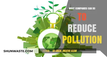 Green Strategies: How Businesses Can Fight Pollution and Save the Planet