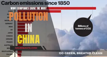 Unveiling China's Top Polluters: A Shocking Look at Industrial Giants