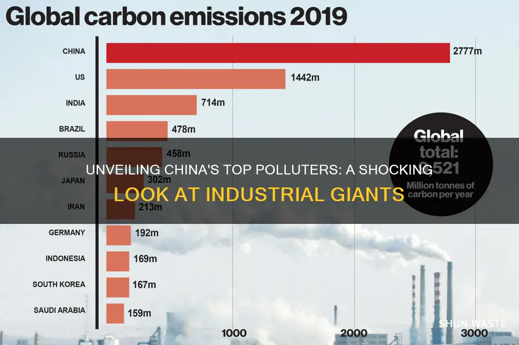 what companies cause the most pollution in china