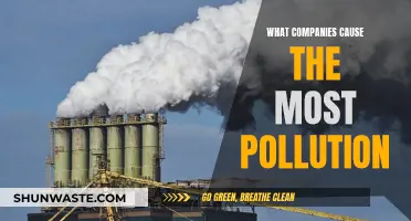 Unveiling the Top Polluters: A Shocking Look at Industrial Impact