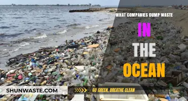Ocean Pollution: Exposing Companies Dumping Toxic Waste in Our Seas